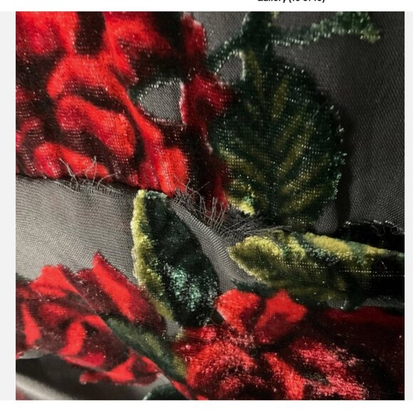 Rachel Parcell Burnout Velvet Maxi Dress V-Neck Gown Black Red Size 6 *READ FLAW - Picture 10 of 10